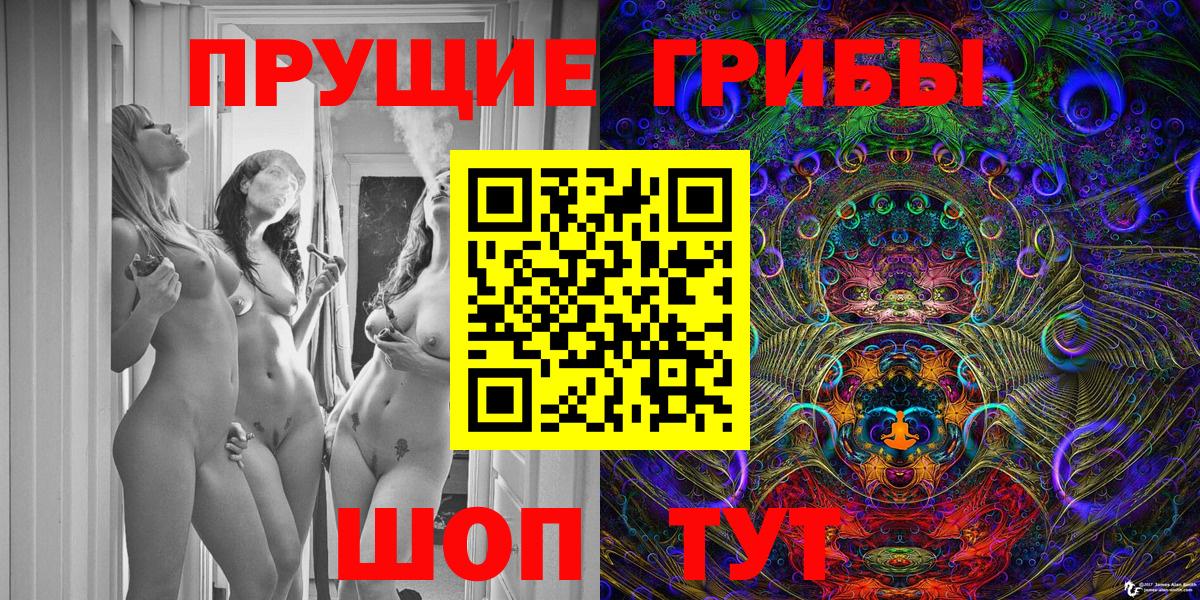 Псилоцибиновые грибы Cubensis Изобильный